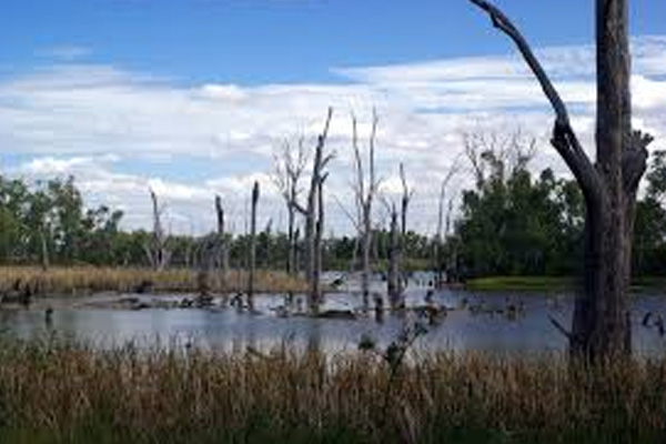 Mulwala Linen Service by Super Clean